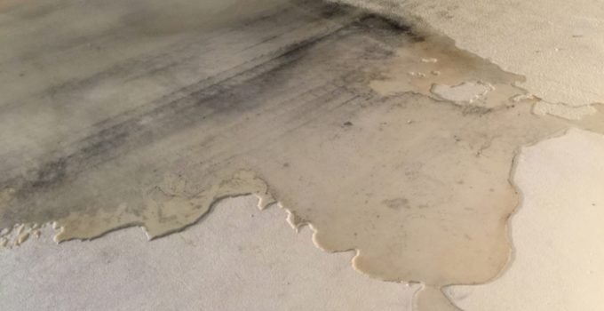 Water leak between the wall and floor in your basement?