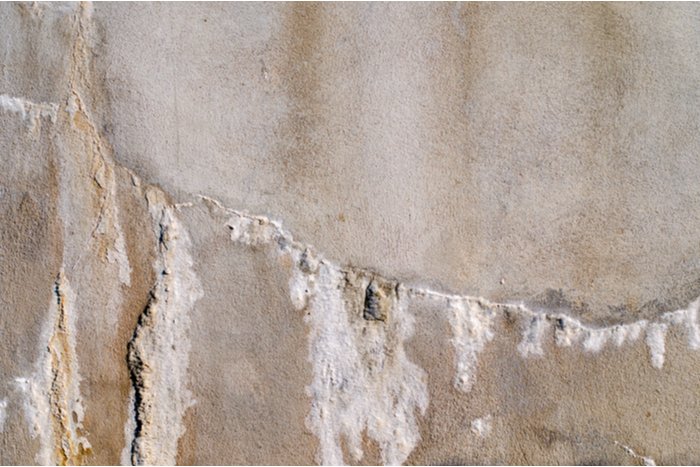 efflorescence on walls