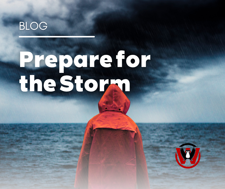 Keep your basement dry this fall with Wise Seal® and Wise Dry® waterproofing solutions—expert tips for homeowners before the next storm hits.